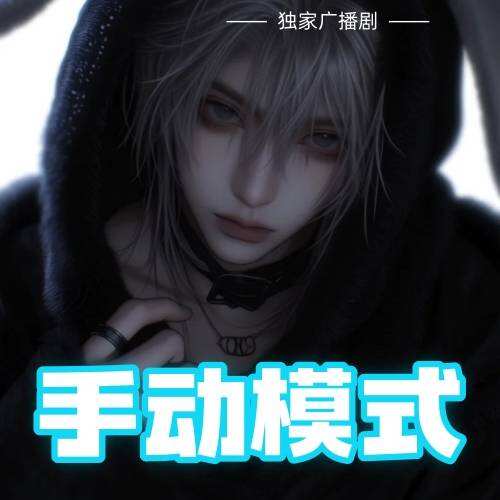 手動模式