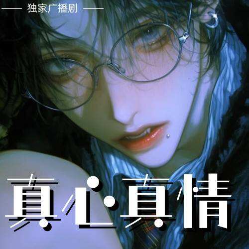 真心真情
