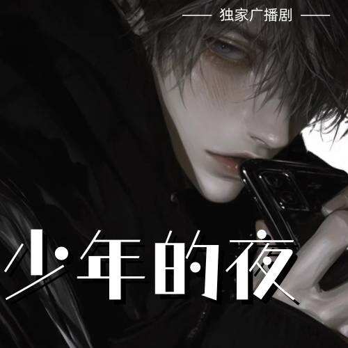少年的夜