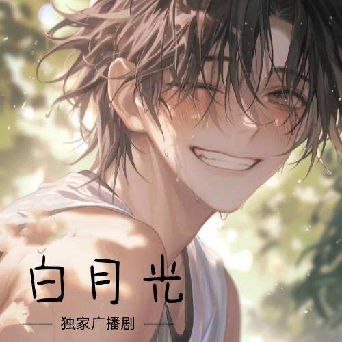 白月光